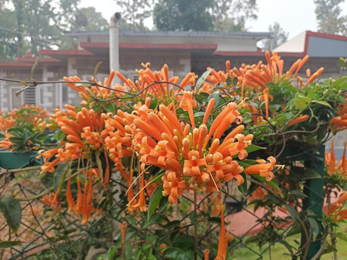 Coorg Kolamotte Hotell Gonikoppal Eksteriør bilde