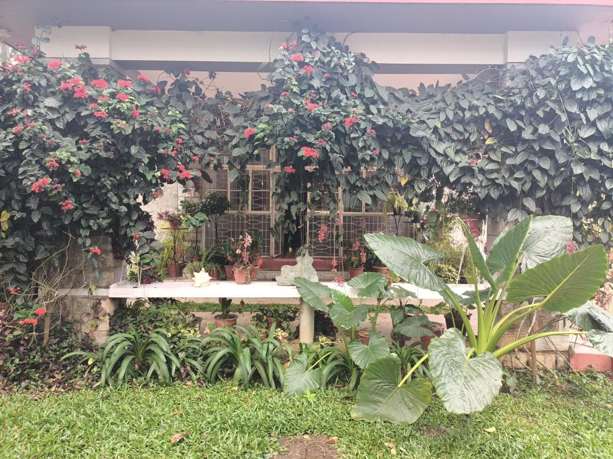 Coorg Kolamotte Hotell Gonikoppal Eksteriør bilde
