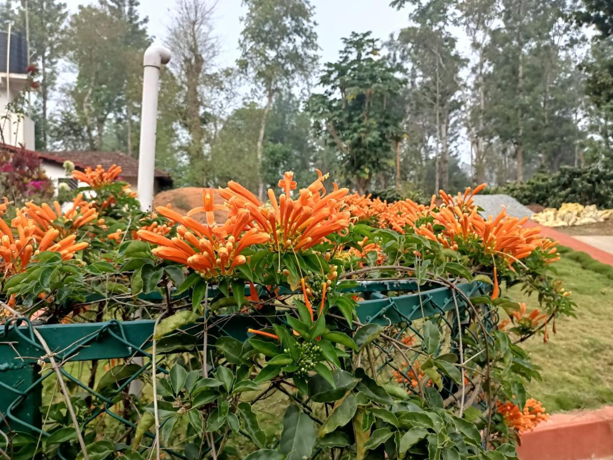 Coorg Kolamotte Hotell Gonikoppal Eksteriør bilde