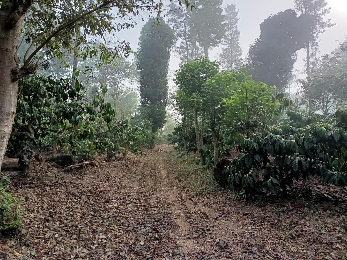 Coorg Kolamotte Hotell Gonikoppal Eksteriør bilde
